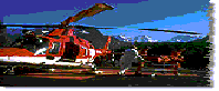 rega2.gif (5544 Byte)